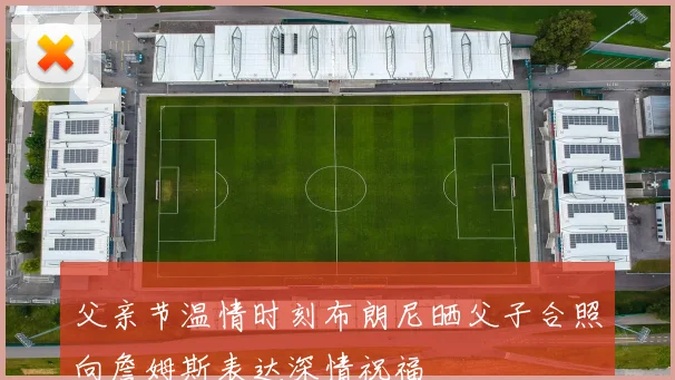 父亲节温情时刻布朗尼晒父子合照向詹姆斯表达深情祝福